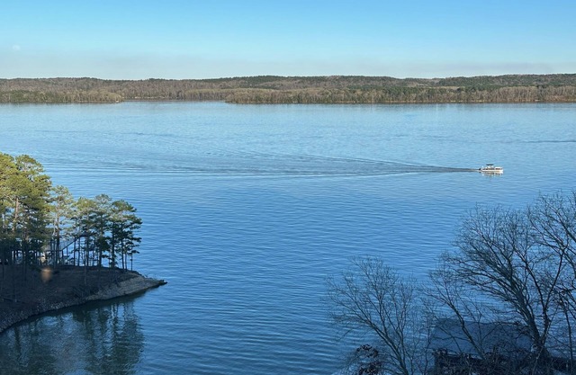 Pickwick Lake Front Estate w/ water views, boatslip & pool 3 mi to State Park