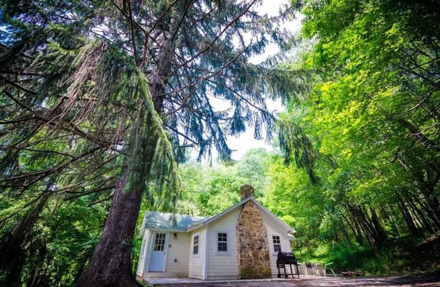 ¡Lugar de OVR en los pinos! ¡Acogedora cabaña de lujo junto a Fallingwater! ¡Bañera de hidromasaje!