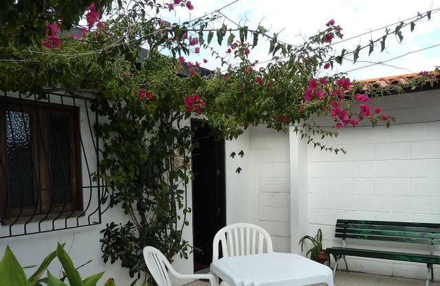 Estudio florido en una playa famosa