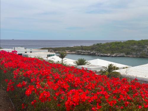 Prachtige bungalow/schitterend uniek uitzicht over baai en oceaan