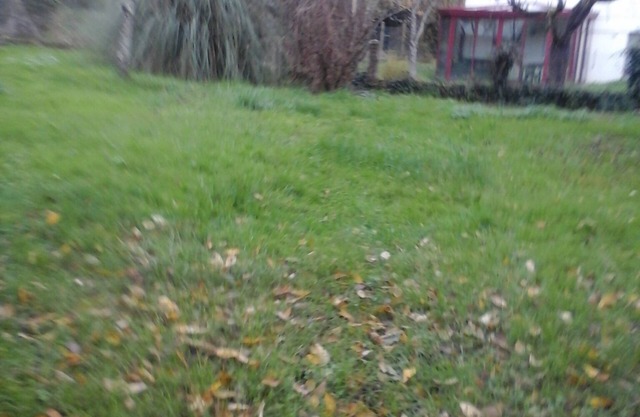 Private room in a house with garden in Vierzon