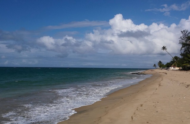 Malibu Beach Front: un verdadero condominio frente a la playa