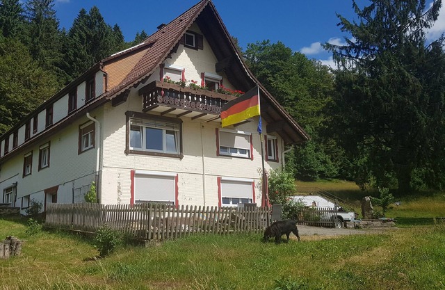 Sensación de selva negra pura en un solo apartamento