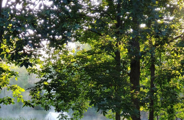 Retiro tranquilo y espacioso en los Finger Lakes