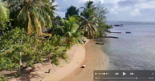 RAIATEA - The BEACH HOUSE - plage sur le lagon !