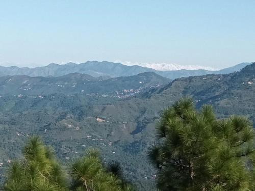 Raikot Resort