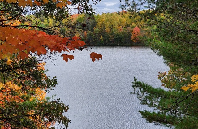 Tranquil year round retreat on small quiet lake that has WiFi, a HotTub & Sauna