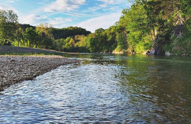 Reality Ranch en la sucursal sur de Sylamore Creek