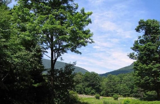 Relájese en este tranquilo y moderno 3BR Catskills Rambler con vistas a la montaña