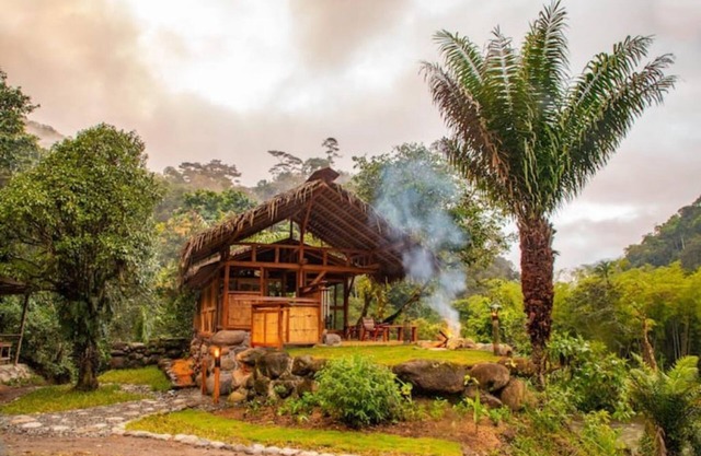 Remote Luxurious Riverside Jungle Retreat/Farmstay