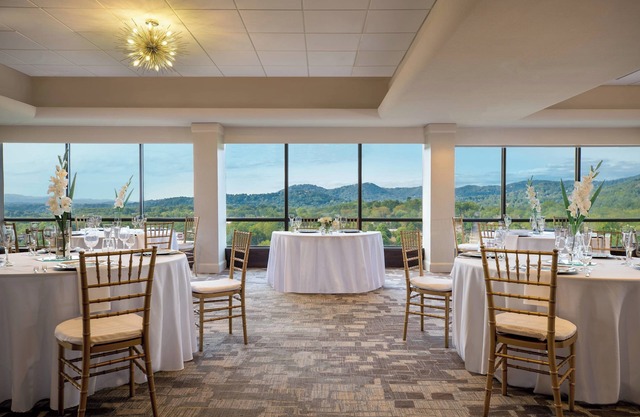 Renaissance Asheville Downtown Hotel