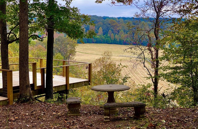 Airstream renovado en 40 acres tipo parque en Dickson, TN, 45 min. de Nashville