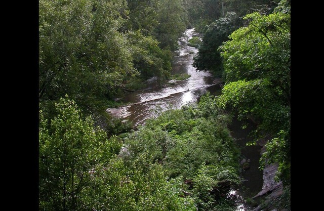 RiverFront TREEHOUSE ANTIGUO REDWOODS STUDIO ~ ¡VISTAS INCREÍBLES! DUCHA AL AIRE LIBRE !!