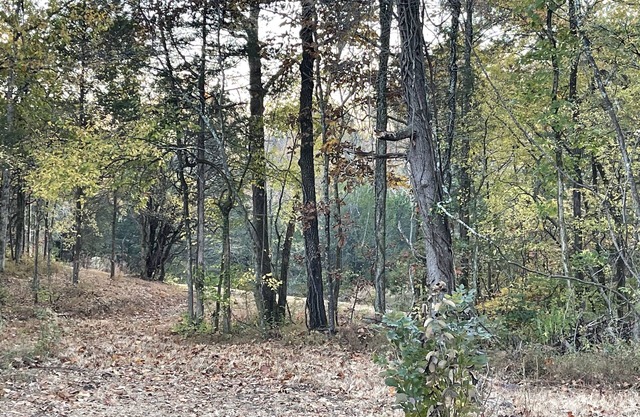 Romantic Farm with Beautiful Views Close to Nashville in Lebanon Tennessee