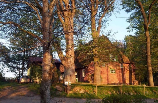 Casa de techo de paja romántica