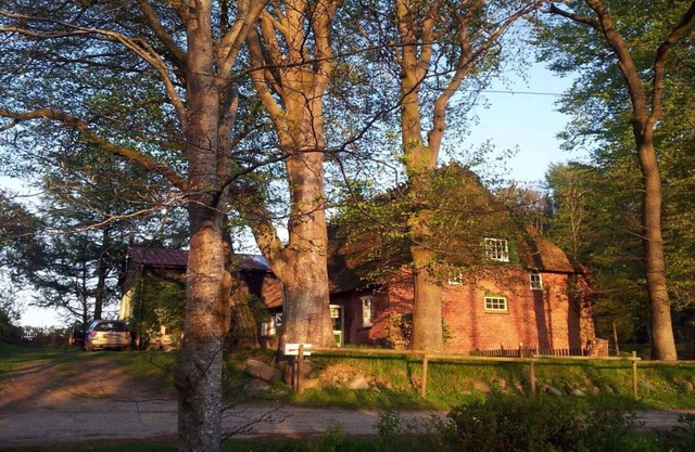 Casa de techo de paja romántica