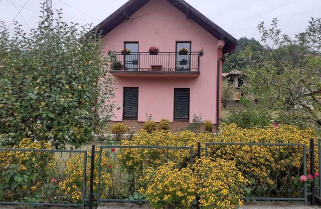 Rooms Violeta