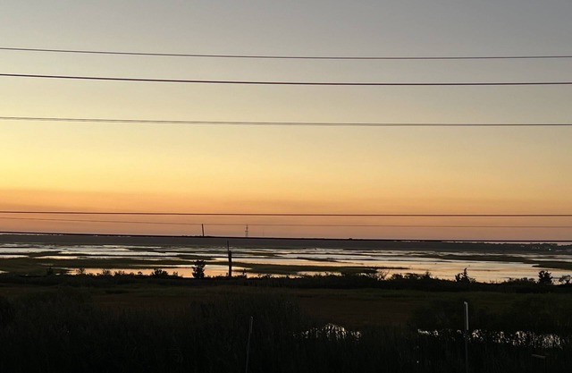 Salty Dog: South End Sunsets - Dog Friendly - 2 short blocks to guarded beach