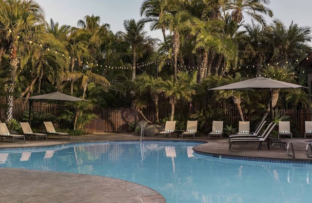 Scenic Bay View King Suite at Catamaran Resort & Spa