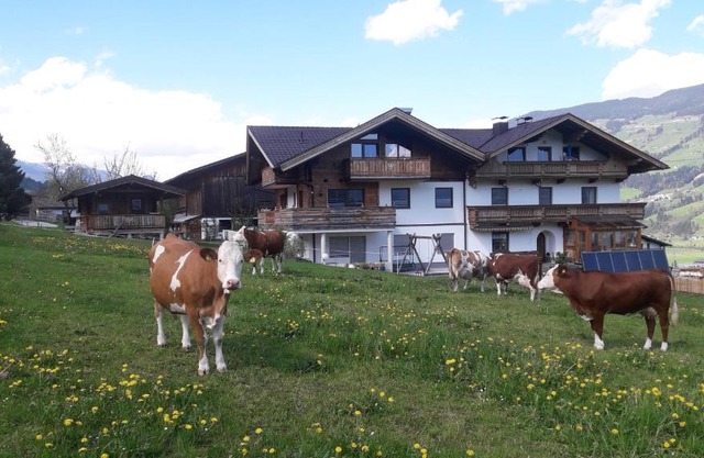 Schorpenhof