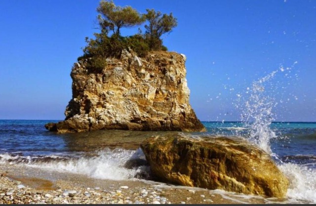 Sea La Vie