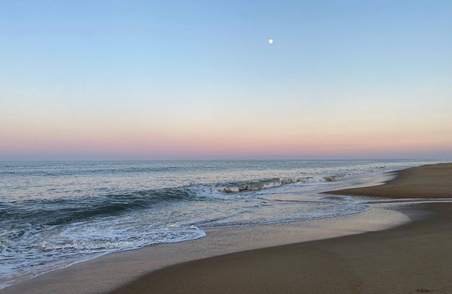 Sea La Vie - Lado del océano - Pasos a la playa