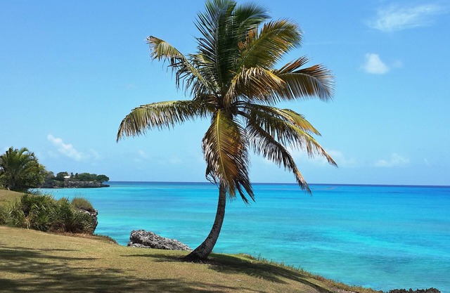 Apartamento con vistas al mar en Freight's Bay Beach.