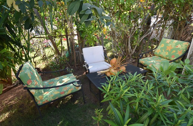 The Sugar Apple Seashells Luxury Balcony Suite