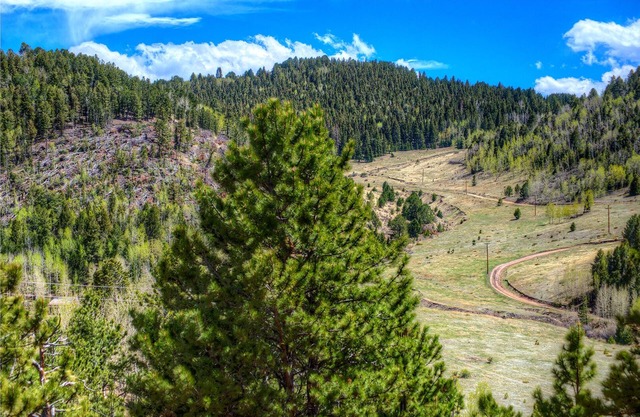 Bears Den-Scenic Mountain Retreat, cerca de Pikes Peak