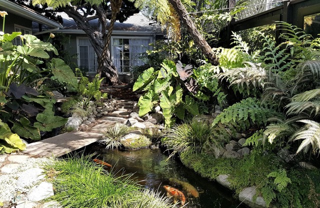 SERENITY IN CDM: Casa de campo privada y jardines en XL Lot
