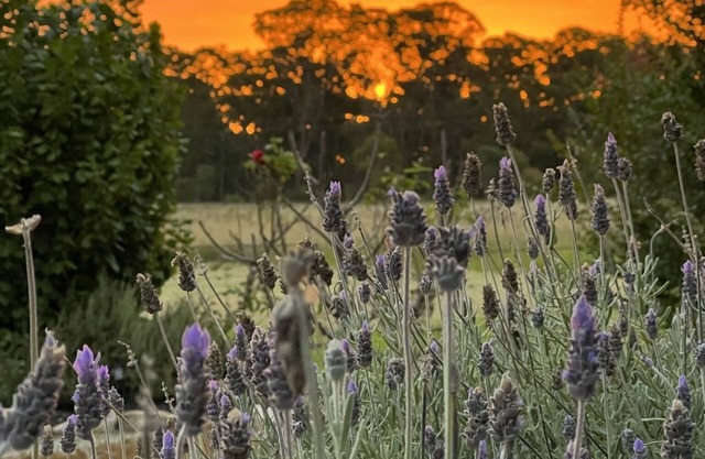 Serenidad en stanthorpe