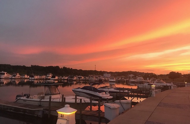 Serenity on the Shores - with easy transport to Chicago/SouthShore across the St