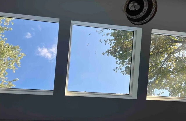 Single Bachelor unit en-suite in Waterloo