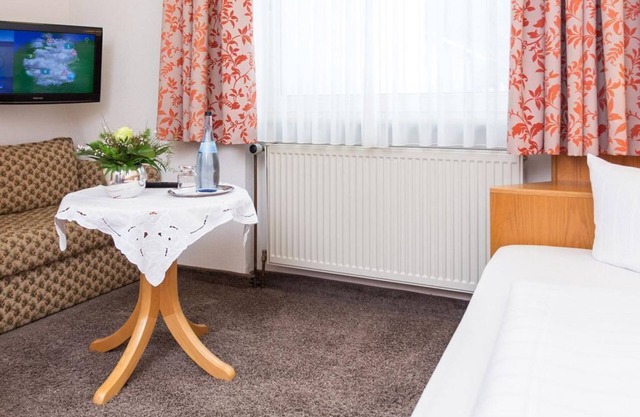 Habitación individual BÁSICA - Hotel Pfälzer Wald