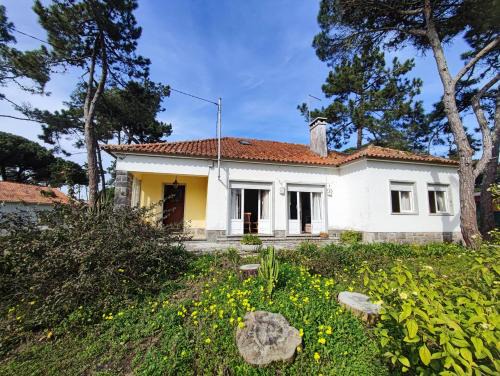 Sintra, traditional rustic V4 house in Colares, Sintra