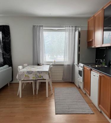 Small budget traveler's two-room apartment