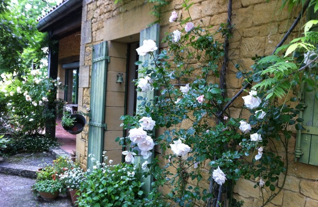 Pequeño paraíso interior / exterior