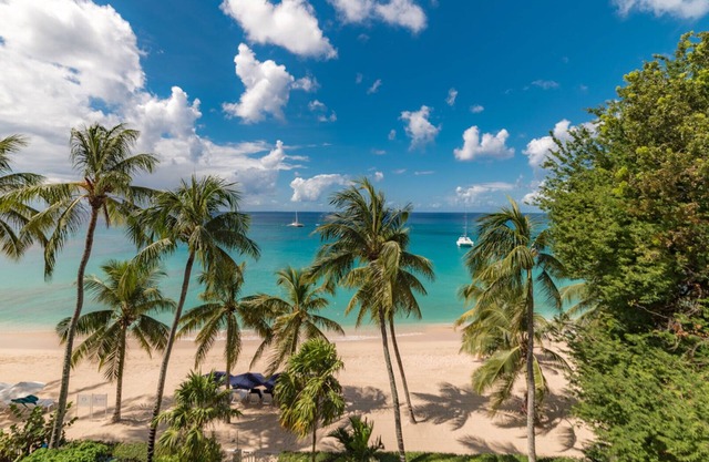 Smugglers Cove 6: Beachfront condo on Paynes Bay Beach