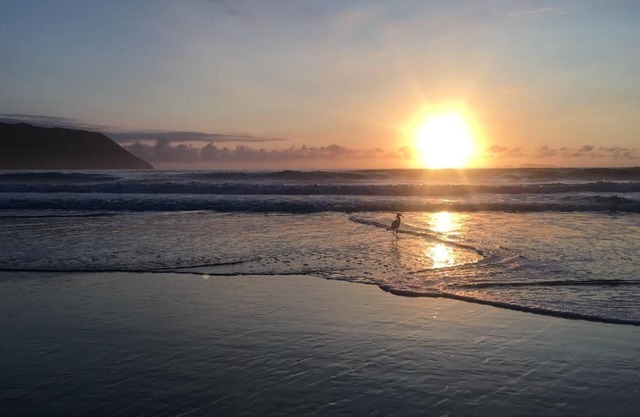 PLAYA SOLIDÃO - FLORIANÓPOLIS - Alquiler