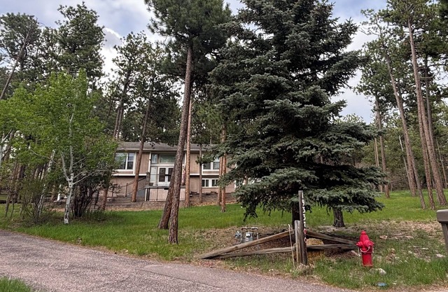 Spacious 4-bed house in the woods of beautiful Monument by the Air Force Academy