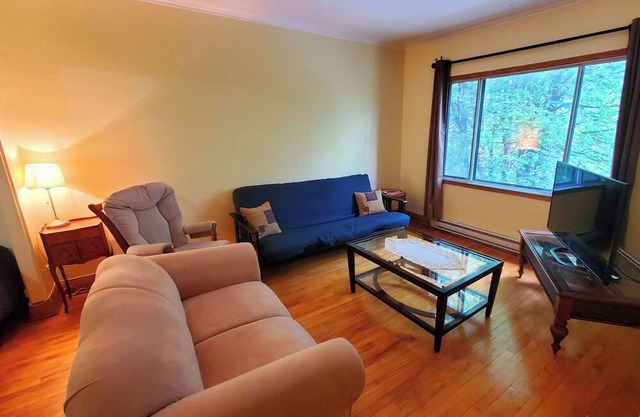 Spacious and Cozy Apartment With Parking, River View