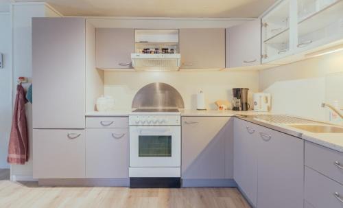 Spacious Basement Apartment with Mountain Views