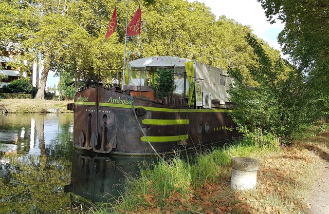 Spacious comfortable barge in the city center of Toulouse