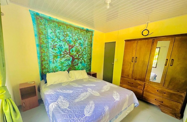 Spacious, Peaceful and central located house