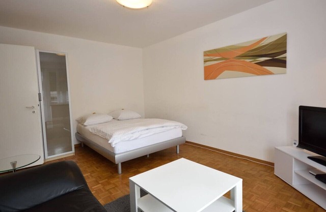 Spacious studio near lake and opera (Mill 5.12)