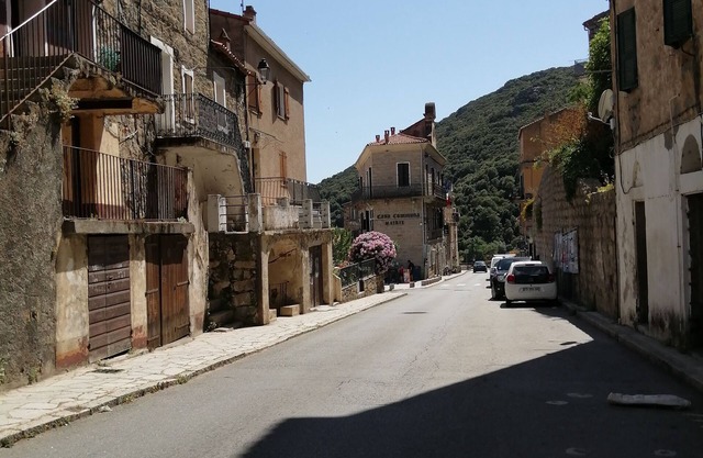 Spacious T3 10 minutes from the beaches in Olmeto