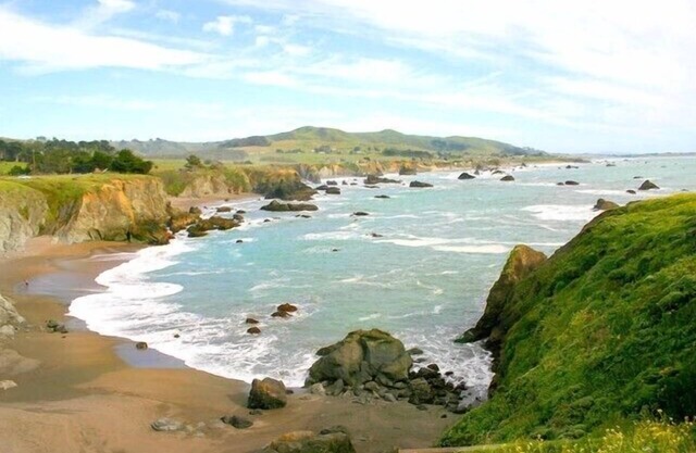 ¡Experiencia espaciosa pero acogedora en Bodega Bay!