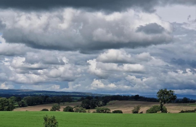 Splendid View Caravan
