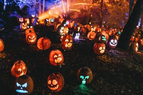 Spooktacular Halloween Shannon Estuary Glamping Budget-Sustainable-Rustic-Countryside Holiday Accommodation