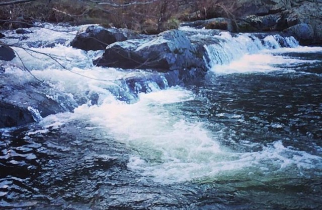 ¡Sitio de Squirrel Creek!